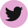 Twitter icon